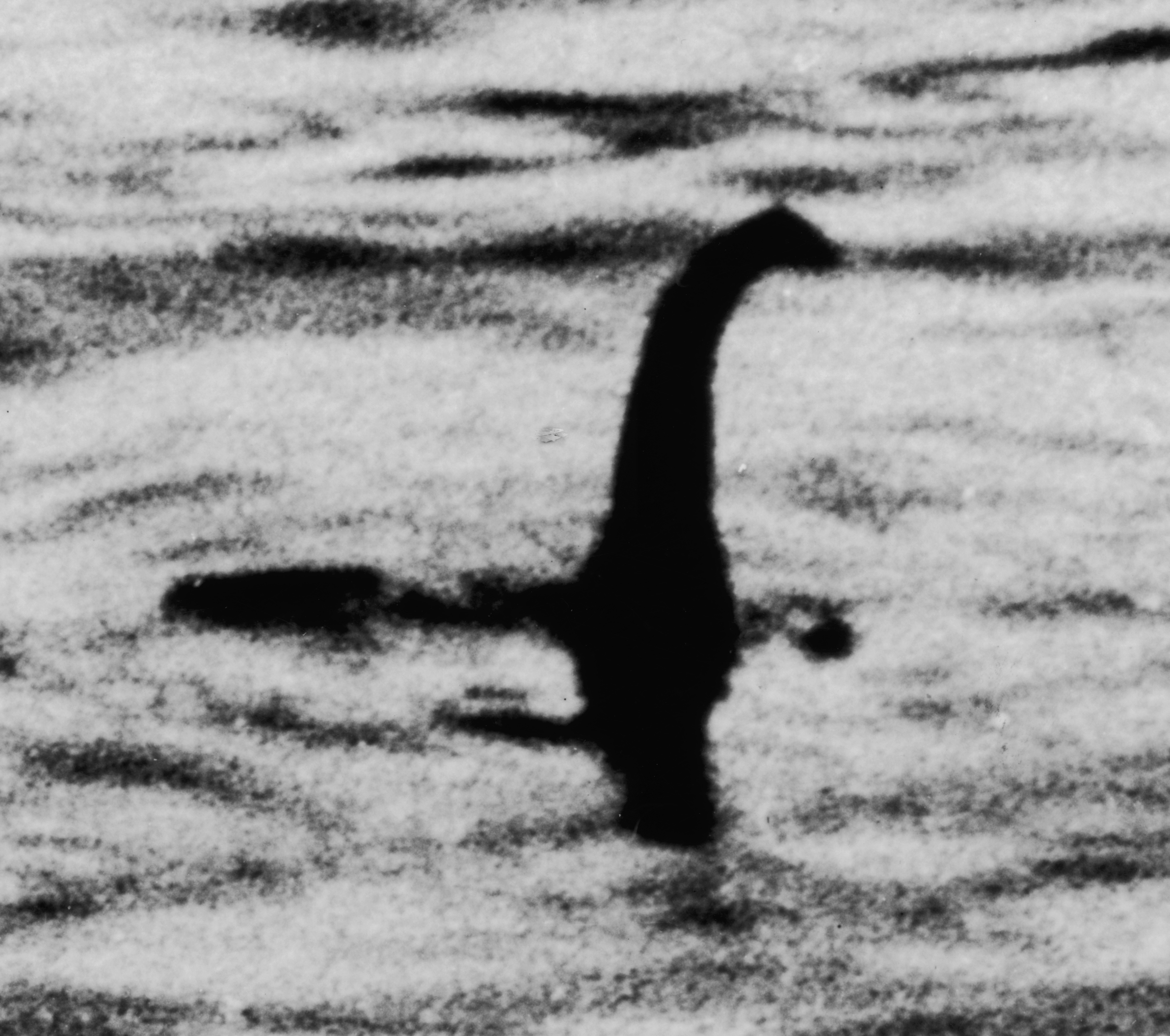 The Surgeon’s Photograph and the Shape of a Monster feature image