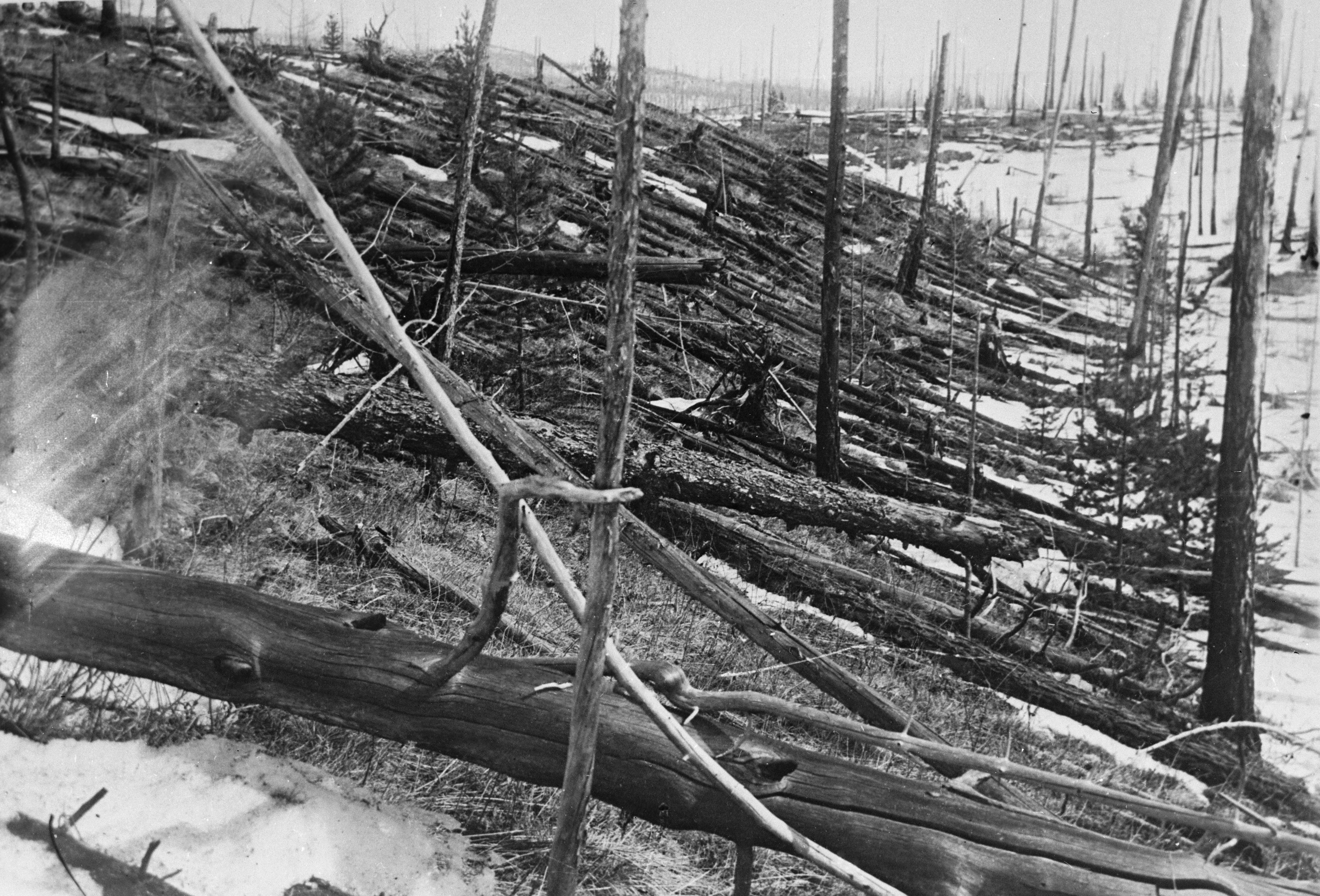 Tunguska: The Morning the Forest Fell Flat feature image
